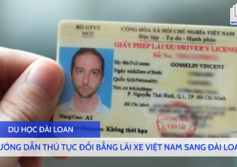 Hướng Dẫn Thủ Tục Đổi Bằng Lái Xe Việt Nam Sang Đài Loan