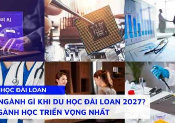 Chọn ngành gì khi du học Đài Loan 2027? Top ngành học triển vọng nhất